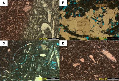 The geological controlling factors of the heterogeneity of a bioclastic limestone reservoir—a case study of the Cretaceous Kh2 layer in A oilfield, Iraq